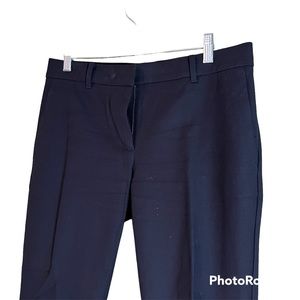 Ann Taylor Ankle Pant Navy Size 6P